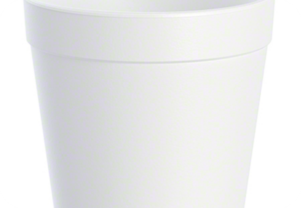 CUP 32MJ48 SOUP FOAM 32 OZ