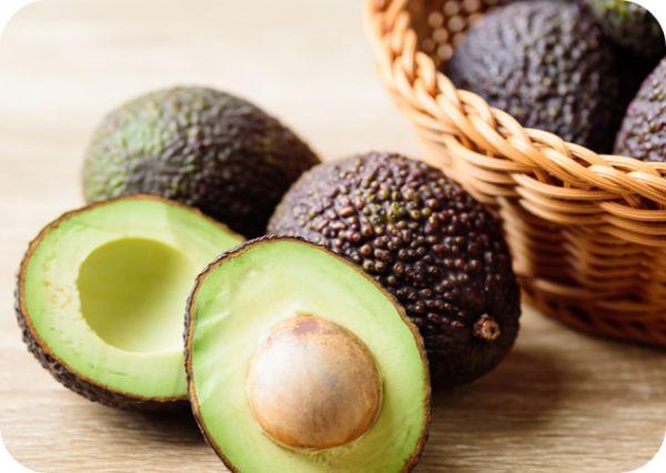 AVOCADO HASS