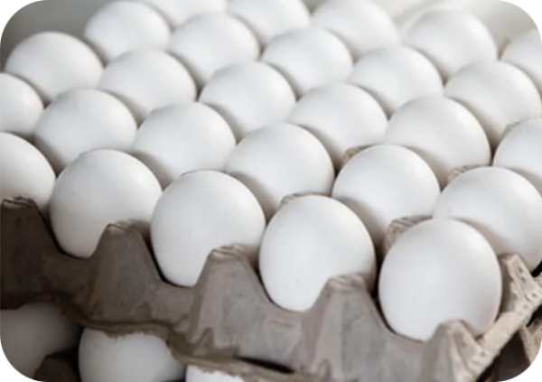 EGGS LARGE 15 DOZ