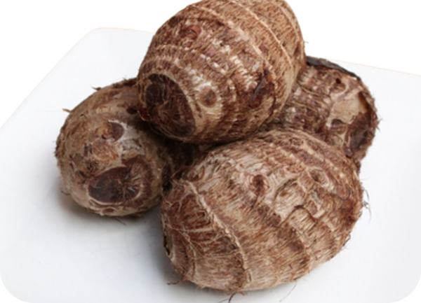 MALANGA EDO