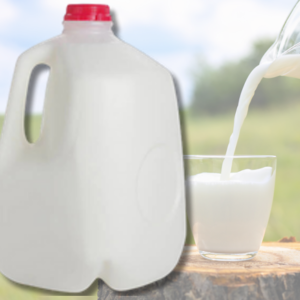 MILK WHOLE 1 GAL