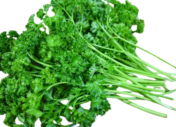 PARSLEY