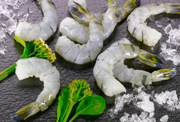 SHRIMP 16-20 CLEAN